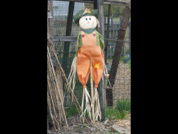 Mary Dominey - Ouch!!