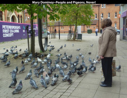 Mary-DomineyPeople-and-Pigeons-Never