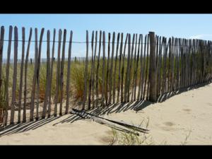 Mary Dominey - Two down on Jaywick Sands