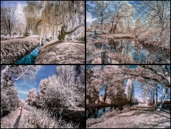 P-Through Different Eyes