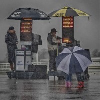 3 Rainy Day at the Races~Roger Bradshaw - 17