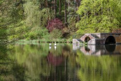 S-Spring at Rushmere Country Park