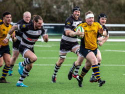 Steve Ridgway - Hee, Hee! You Can't Catch Me!