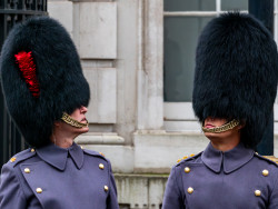 Steve Ridgway - I'M Sure I Saw a Sparrow in There