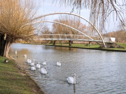 The Ouse in Bedford