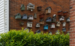 Tim Walton - And Who Says There is a Housing Shortage?