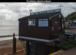 Tim-WaltonBeech-or-Beach