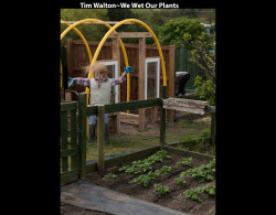 Tim-WaltonWe-Wet-Our-Plants