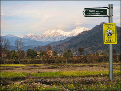 Tony Collis - A Long Walk