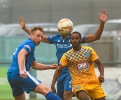 Heads Have It by Guy Wills