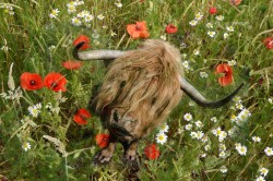 Do You Think I'M Pretty! by Jean Wareing