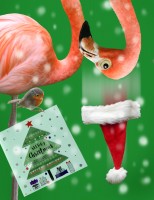 Merry Christmas! by LesleyPascoe