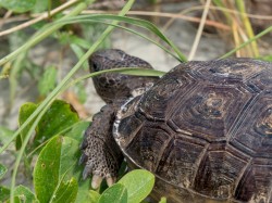 I Told You No Photos Even If You Lot are from Biggleswade Camera Club by Mike Hammond