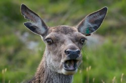 What The.....! by Tim Walton