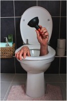 Sorted! by Tony Collis